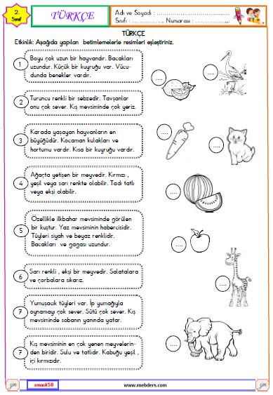 2. Sınıf Türkçe Betimleme  Etkinliği